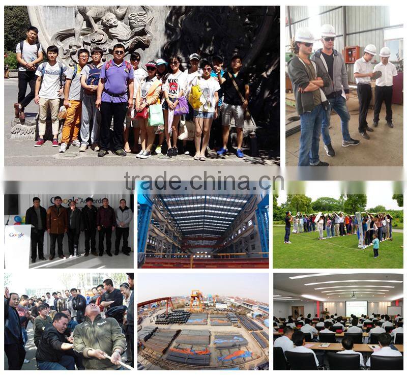 ANSI DIN JIS Bs Stainless Steel Weld Neck Flange