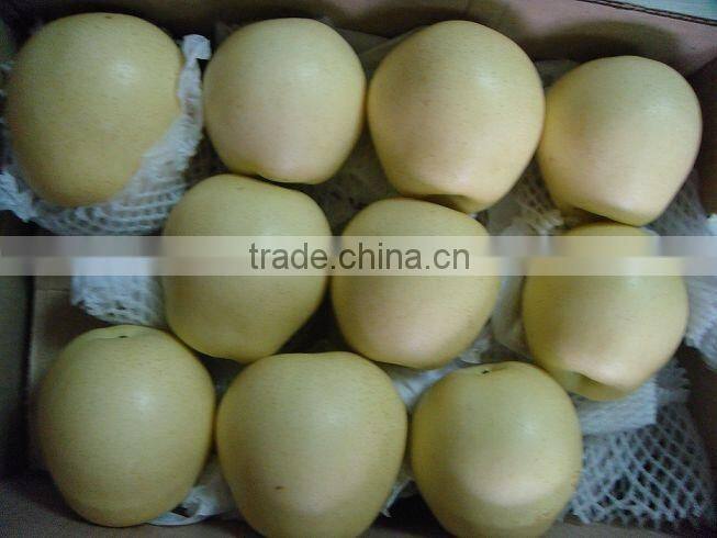 Chinese Golden Pear 9kg 18kg Carton