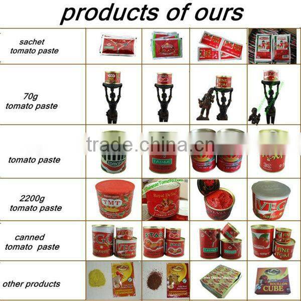 Oman quality tomato paste and low price