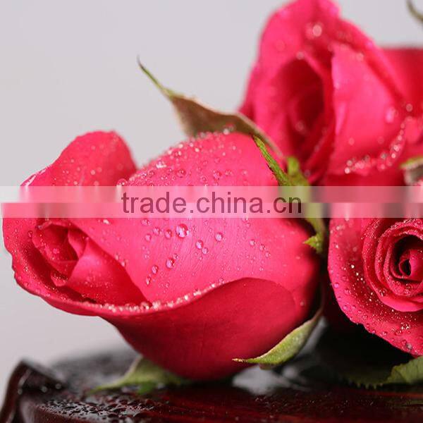 wholesale natural rose flower from Kunming flower base