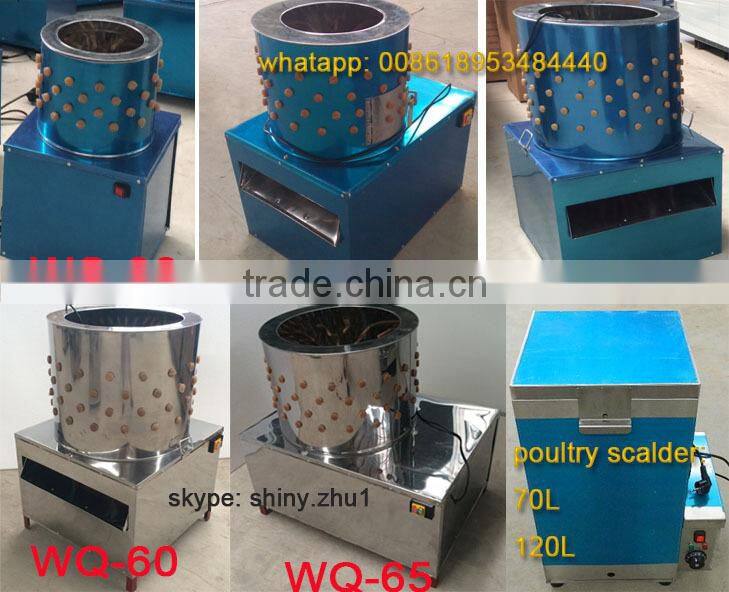 plastic bird/pigeon feeder