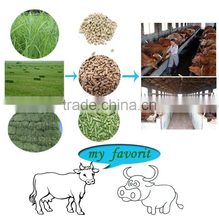 Latest Research 250 Artificial Poultry Feed Pellet Production line