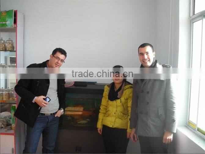 Aquarium fish feed making machine