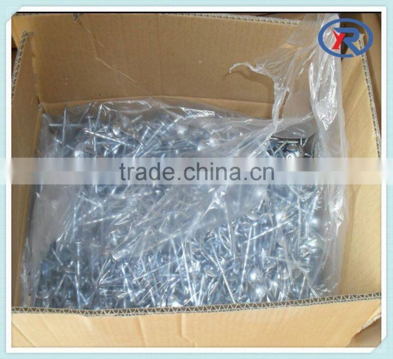 High Quality Galvanized Umbrella Roofing Nails With Rubber Washer