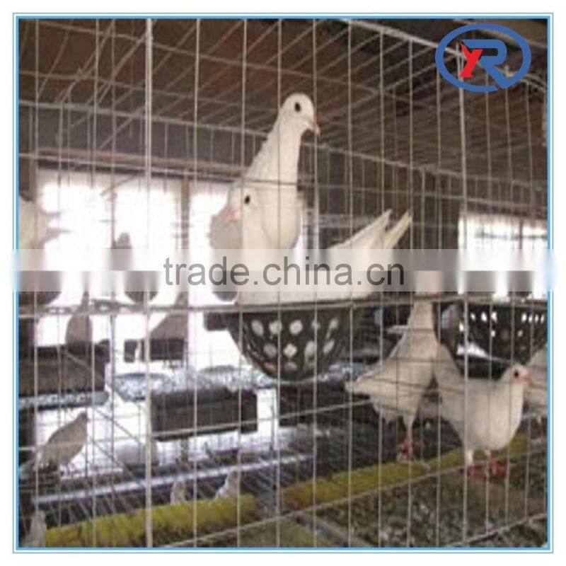 alibaba china supplier low cost Hot dipped 1/2 inch galvanized welded wire mesh/welded wire mesh for breeding animals