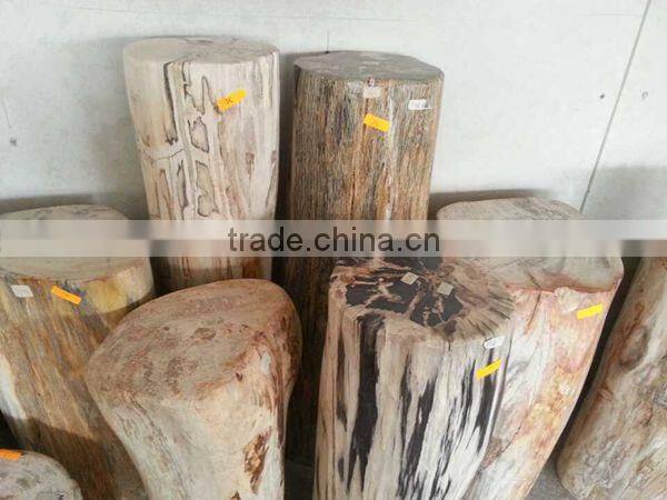 Petrified wood,high value luxary natural stone for collection