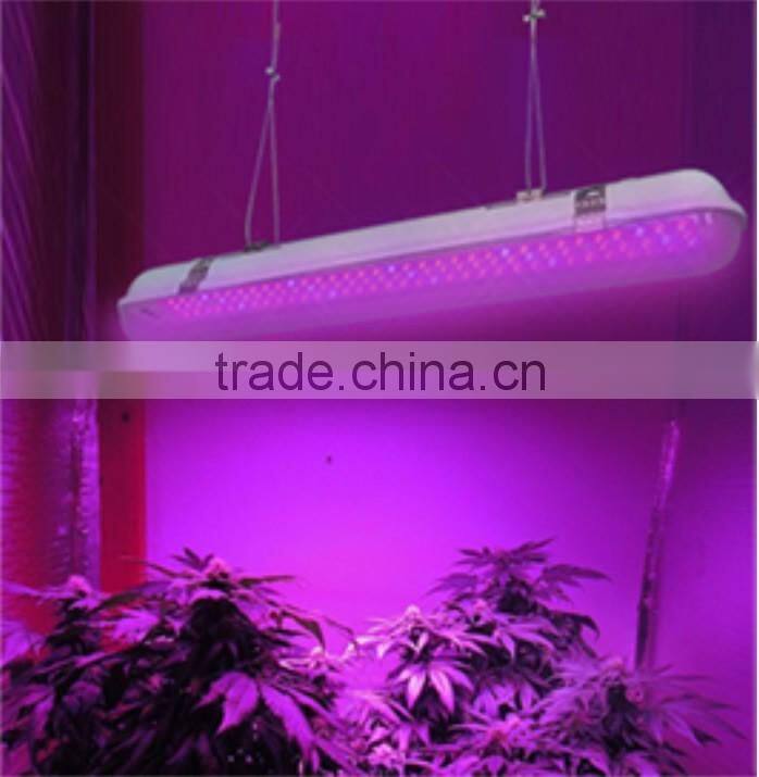 20W Waterproof LED Grow Light