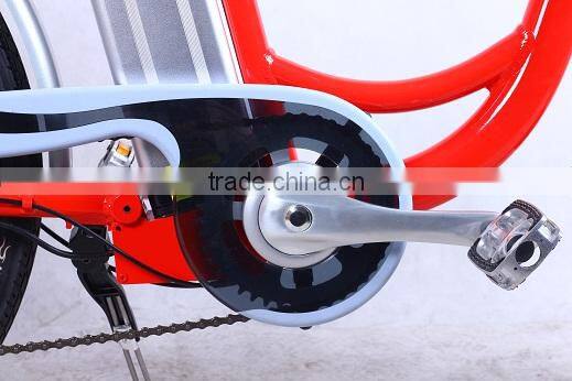 electric bike with brushess hub motor