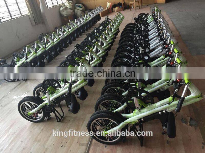 Chinese factory mini foldable bike