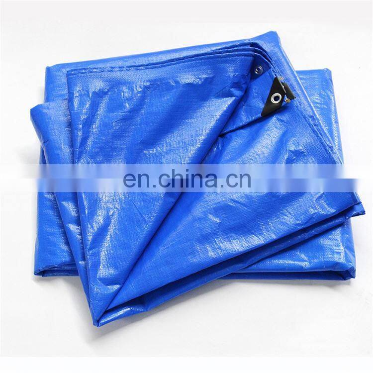 Customized Car Cover PE Tarpaulin Waterproof PE Tarpaulin