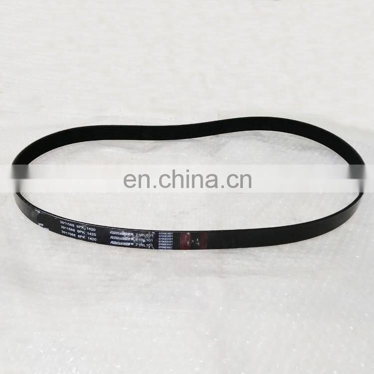 Belt 14208 3900329 (3).jpg