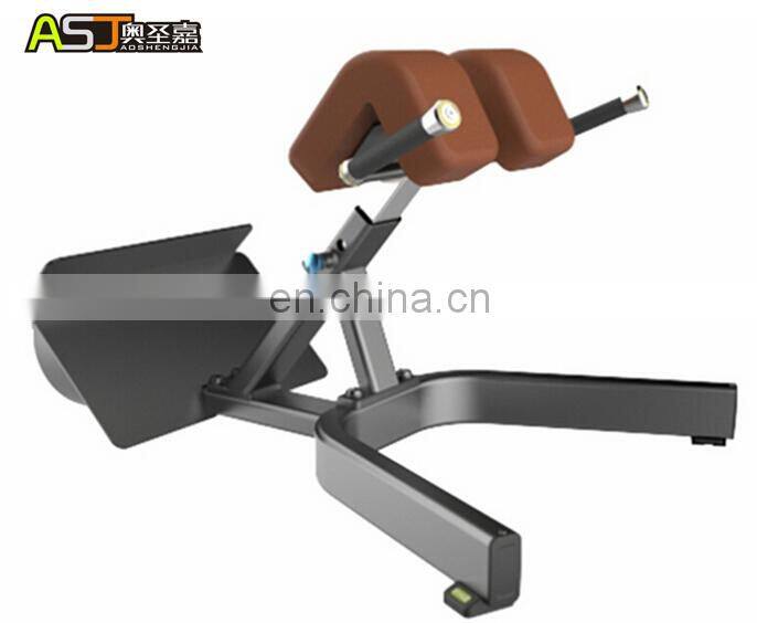 Commercial gym cheap fitness equipment roma bench ASJ-S830 Back Extension bench