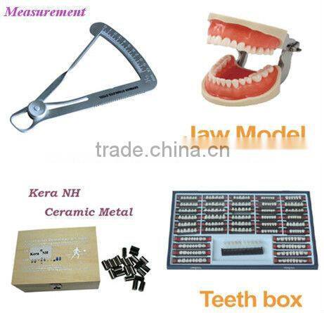 resin teeth jaw model