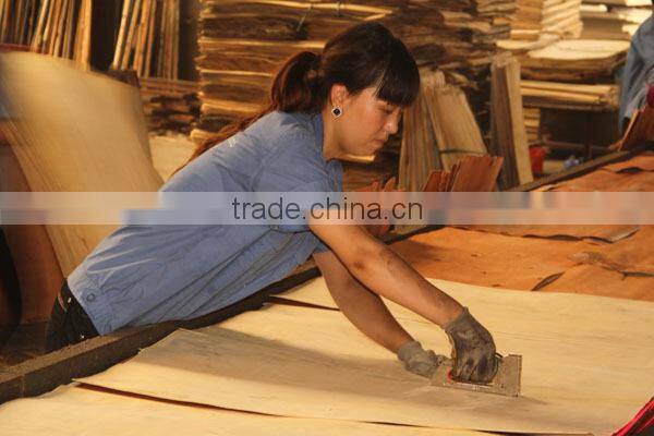 18mm 1220mm 2440mm high quality construction plywood concrete formwork