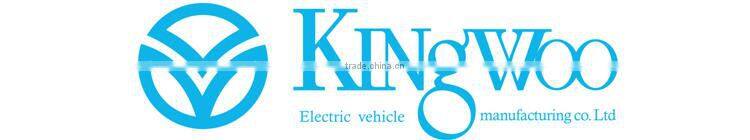 Small electric passenger car for sale