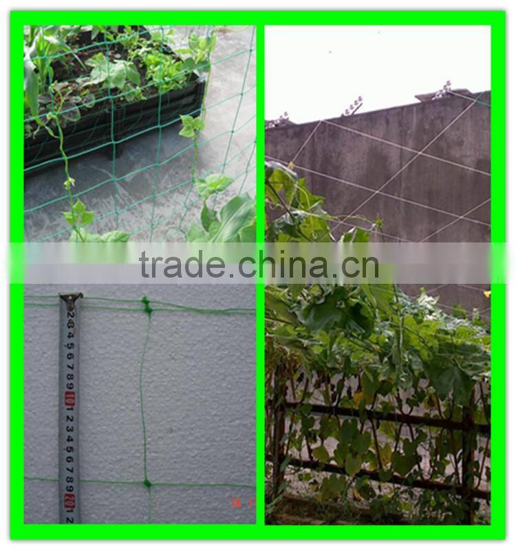 Low Price New Hdpe Material Climbing Plants Supporting Network For Sale