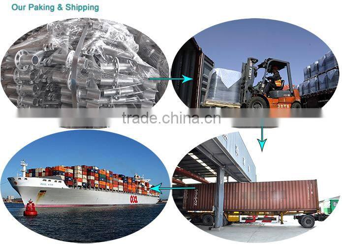 Different Types Q235 Ringlock System Scaffolding