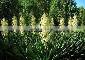 hot se!!!!!!!!!!!!!!!!!! waterproof sisal carpet BT-SS-74