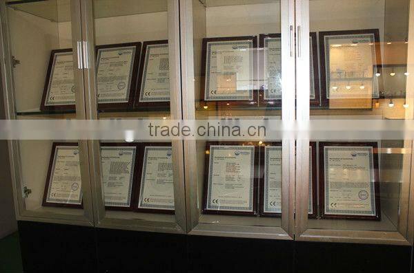 Shenzhen 6400K 13W LED PL Down Light