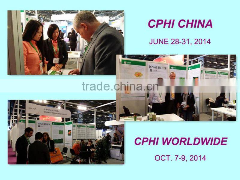 Natural Healthy Supplement 98% Polyphenols Green Tea Extract for instant drinking tea