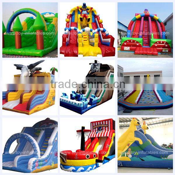 Classic design cheap inflatable noah's ark slide