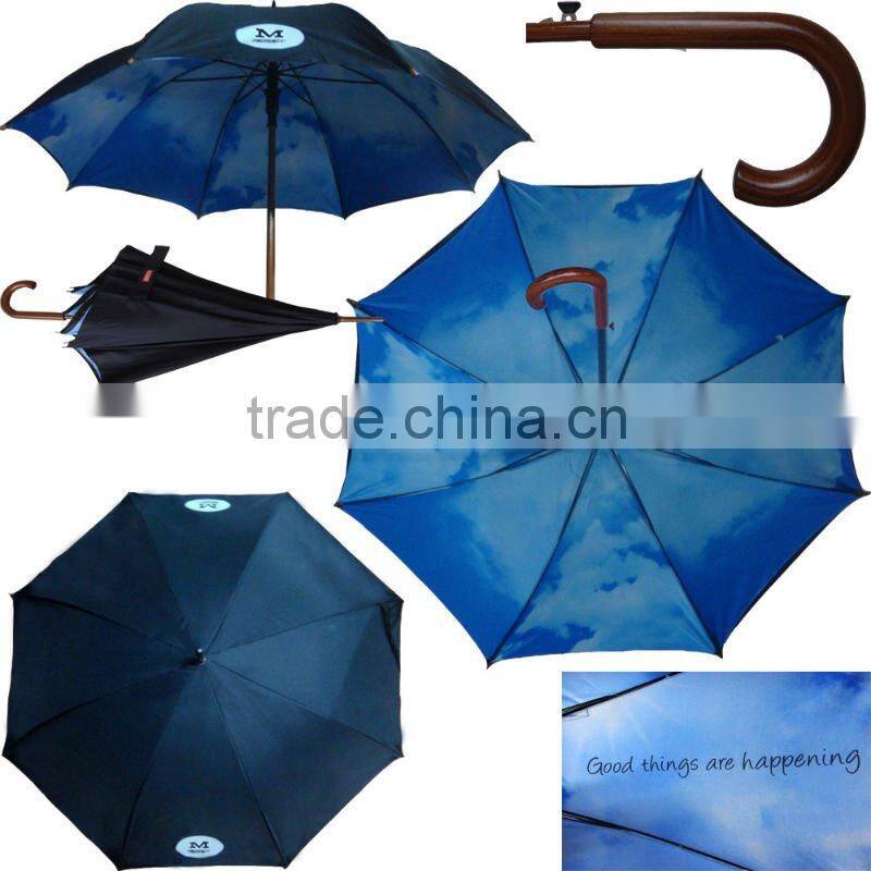 cheaper promotional umbrella with blue sky design