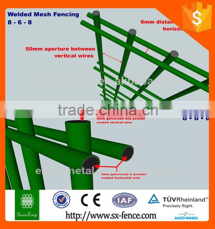 868 Chap Double Wire Steel Fence for sale with 20 years Export Experience