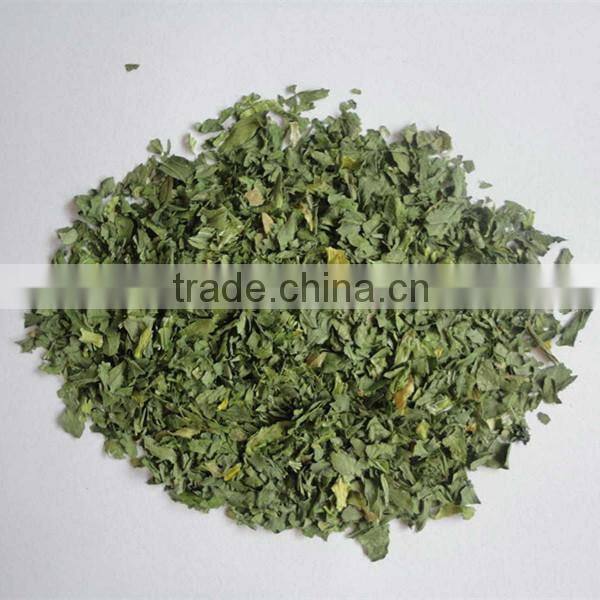 2016 New Crop Dehydrated Parsley Leaf