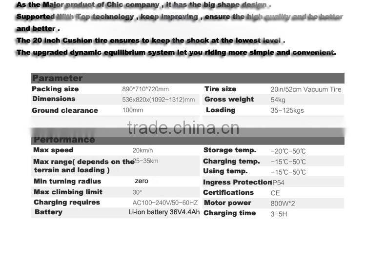 New Arrival Self Balance Sports Scooter Two Wheel New Advanced 2 Wheel Self Balance Electric Vehicle Scooter 2000W Transporter