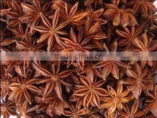 Selected Quality Dood Spice Star Aniseeds