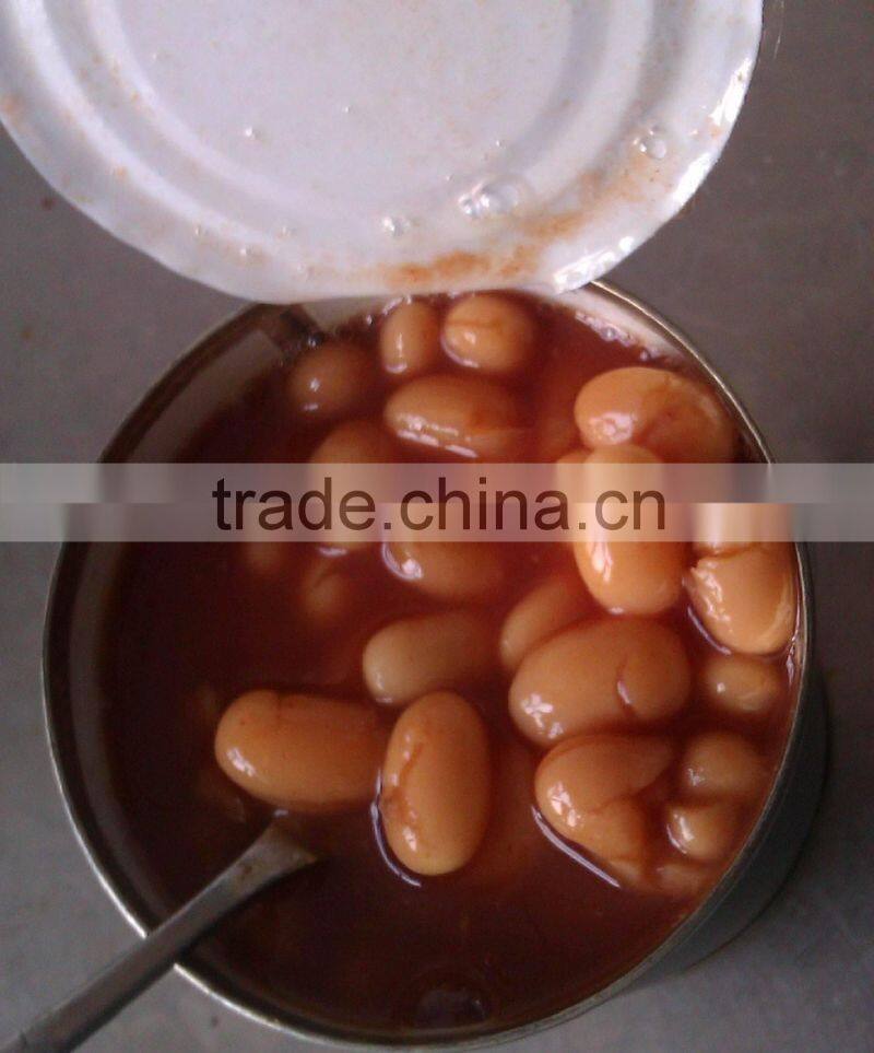 canned red kidney beans in brine / in tomato sauce 425mlx24tins