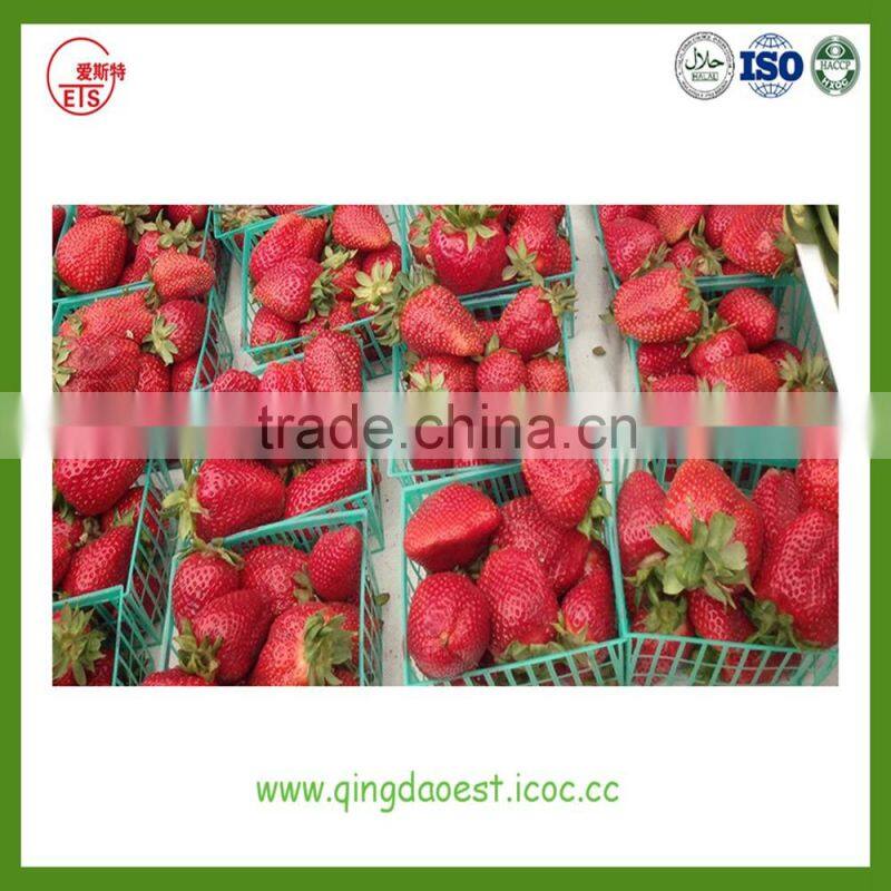 fresh strawberry for sale from Jiangsu Province China