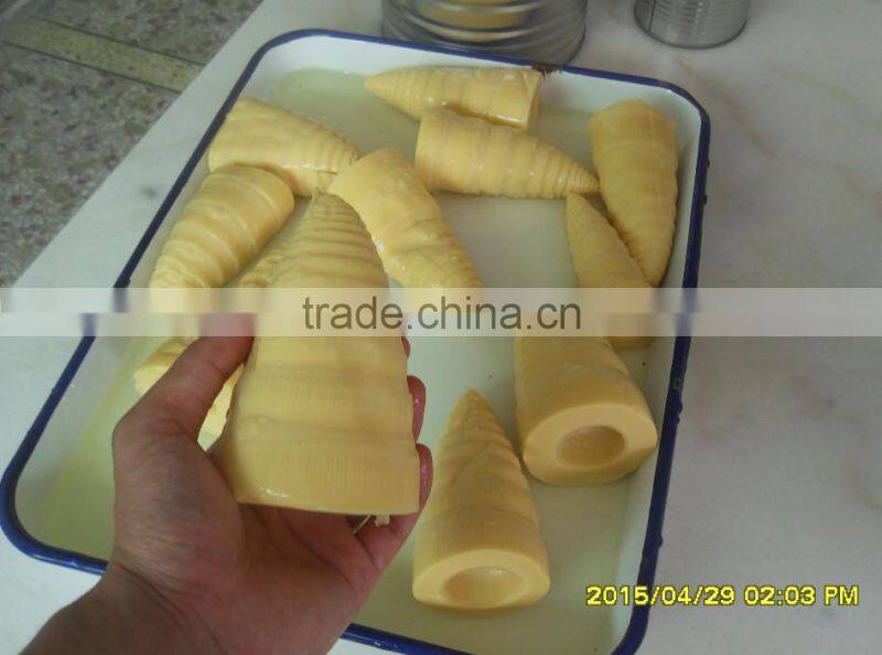 New crop Canned bamboo shoots 2015.5.30