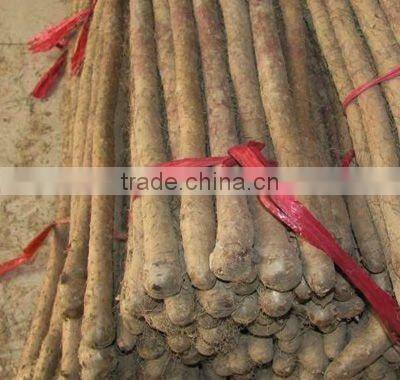 chinese purple yam