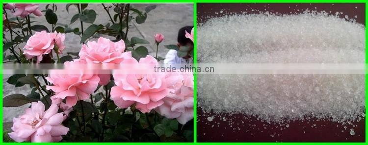 ammonium sulfate 2-4mm