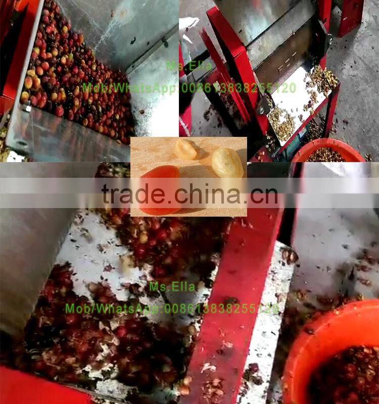cacao bean fresh coffee bean shelling machine