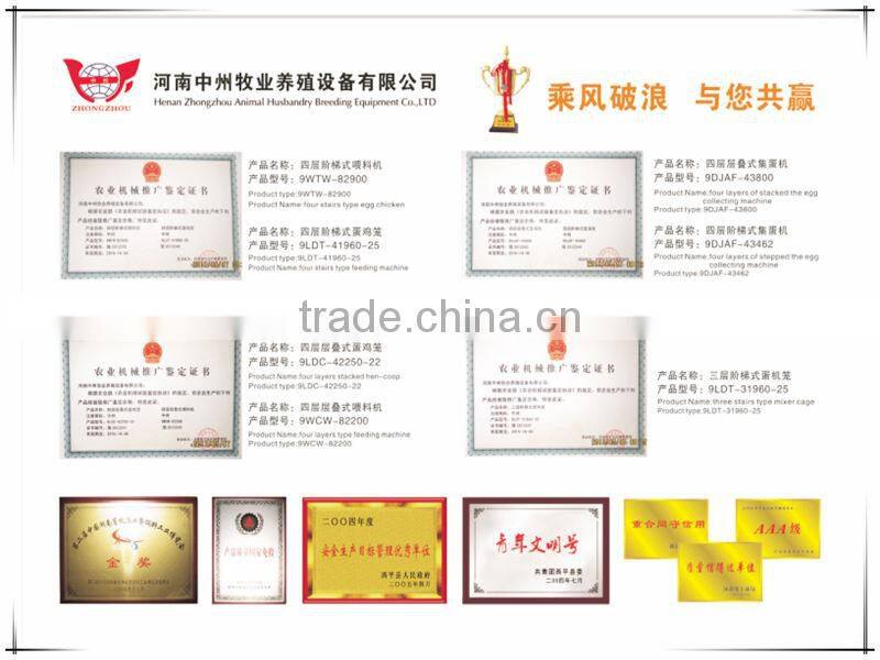 China made chicken cage competitive poultry equipment price