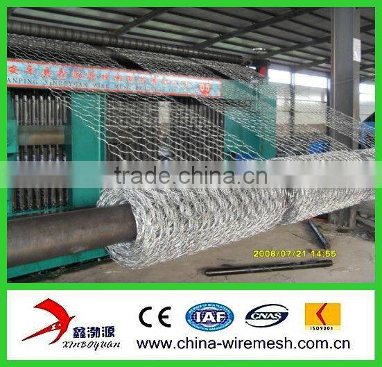 good !chicken wire mesh/hexagonal wire netting