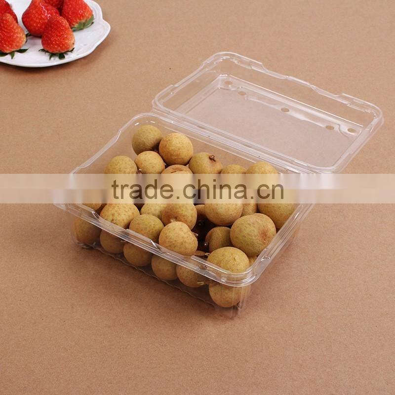 Clear plastic disposable pet salad and food container