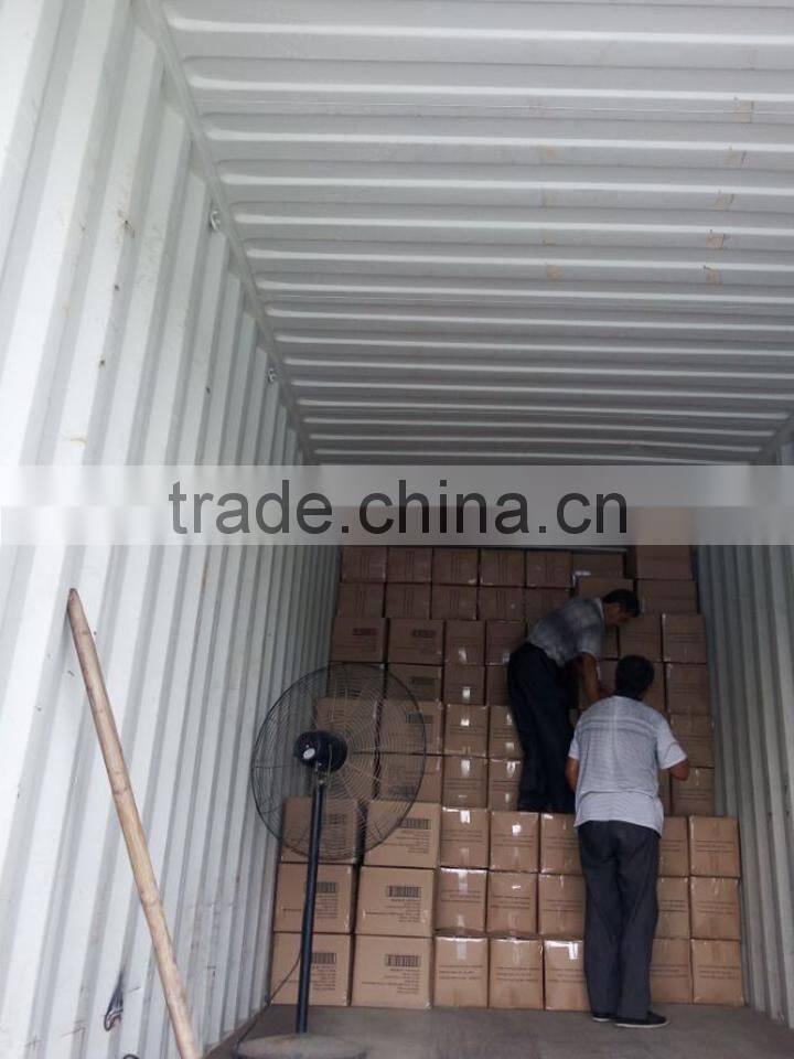 Yellow mealworm wholesale bird food, tenebrio