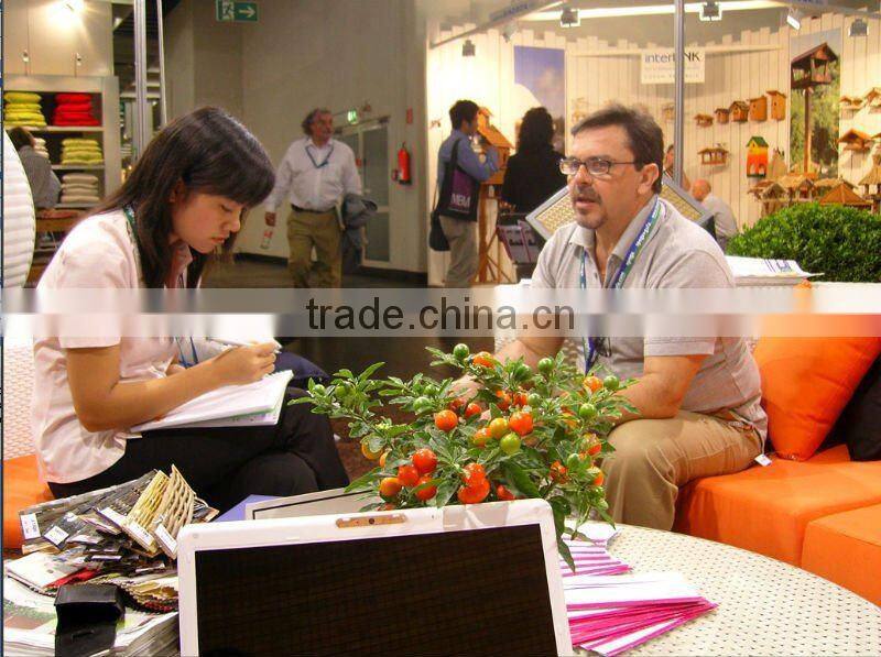 Foshan garden sets bar furniture