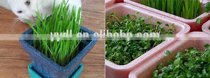 EPP eco-friendly flower pots for children teaching