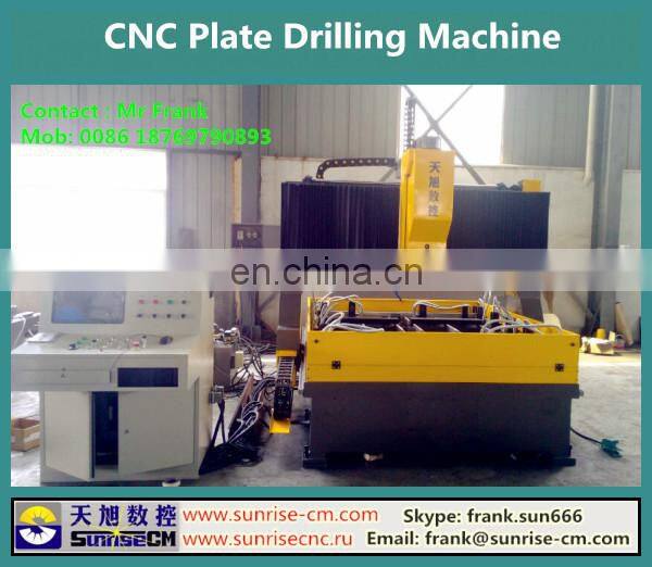 Hot Sell Gantry Moveable CNC Drilling Machine