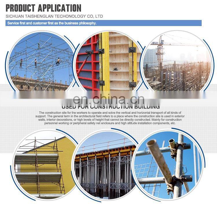 Vibratory Tamping Rammer Compactor Parts for Construction