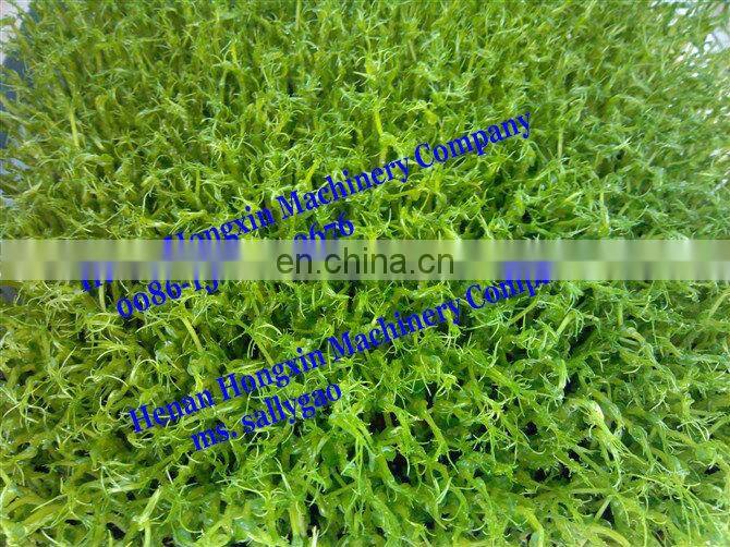 Alfalfa Sprout Growing Machine/bean sprout machine/Bean sprouts machine