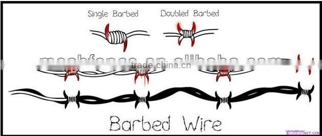 Hot dipped galvanized high quality double twisted barbed wire