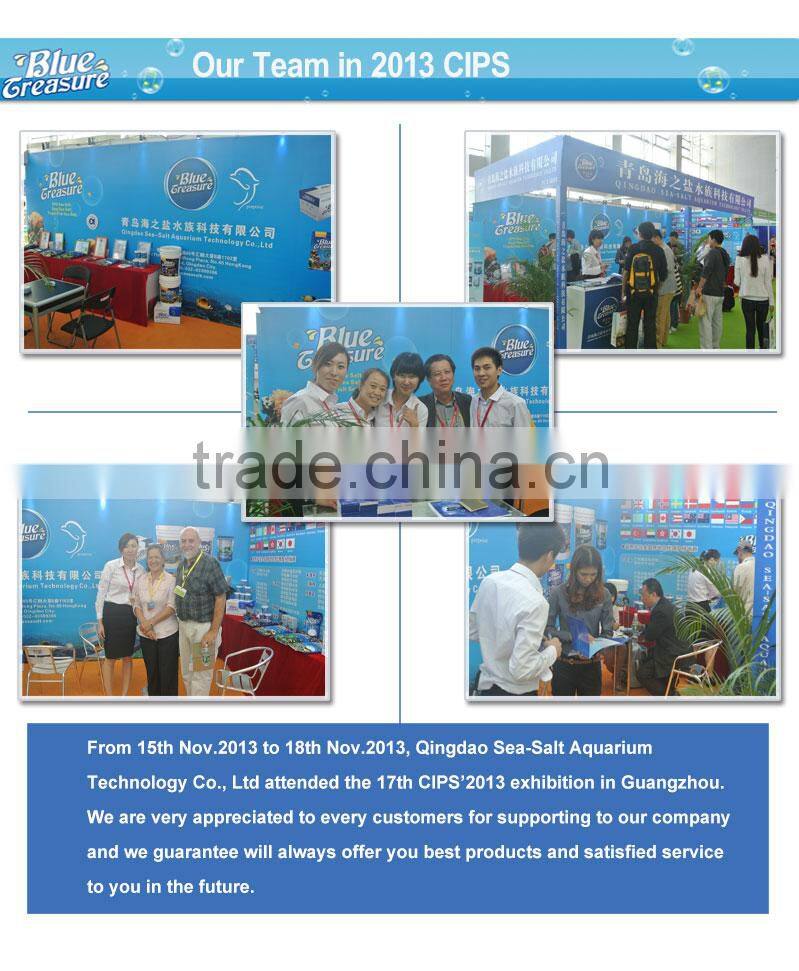 Aquaculture sea salt inflatable frozen live lobster clasp