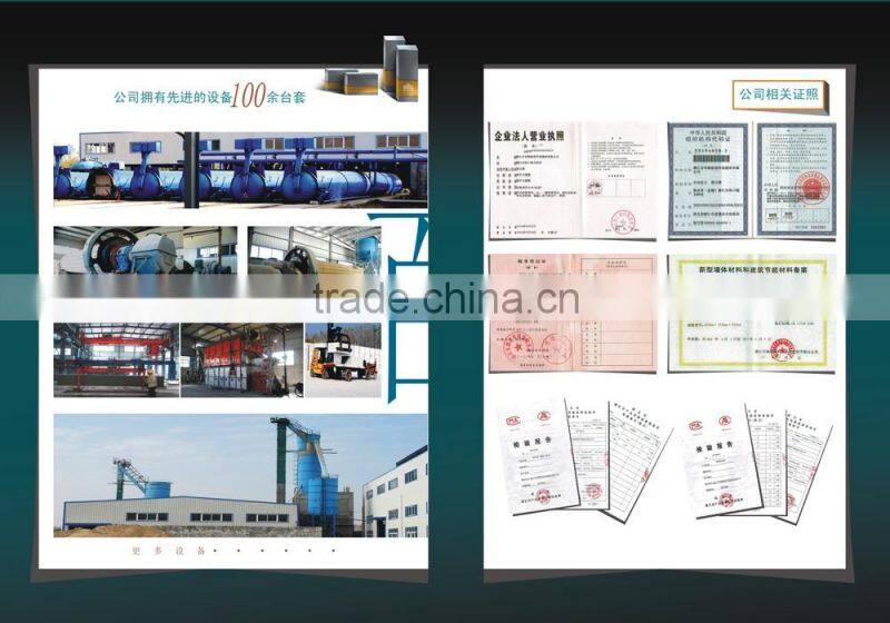 Professional AAC production line,AAC Plant,AAC Panel