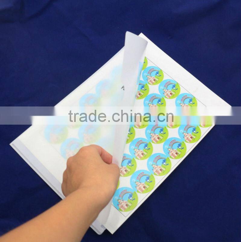 Promotion gift A4 PP clear plastic file holder/Document plastic holder