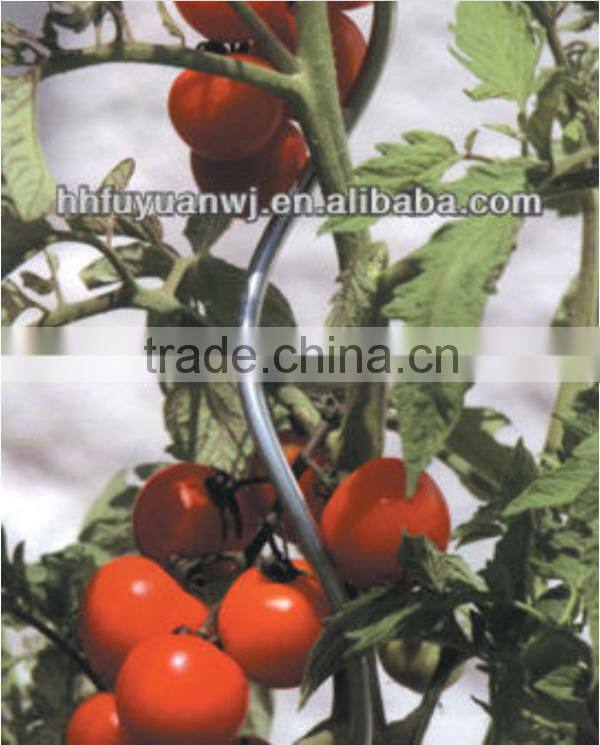 low price Galvanized or powder coated tomato spiral plant support factory in China